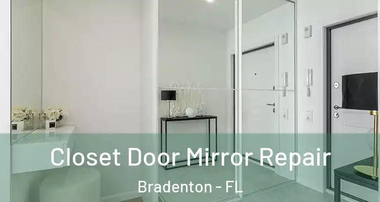 Closet Door Mirror Repair Bradenton - FL