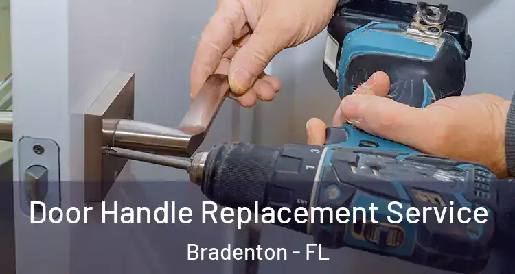 Door Handle Replacement Service Bradenton - FL