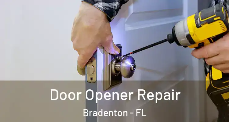 Door Opener Repair Bradenton - FL