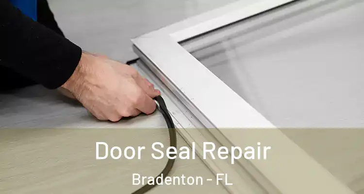 Door Seal Repair Bradenton - FL