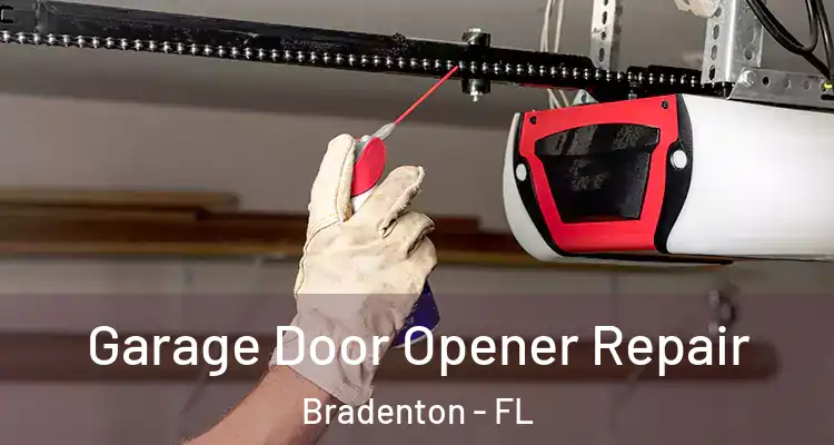 Garage Door Opener Repair Bradenton - FL