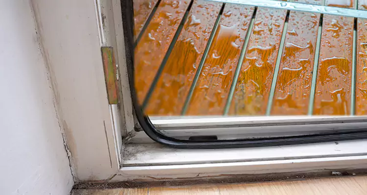 Water Leaking Wooden Patio Doors Repair in Bradenton, FL