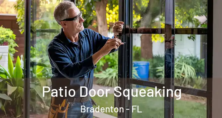Patio Door Squeaking Bradenton - FL