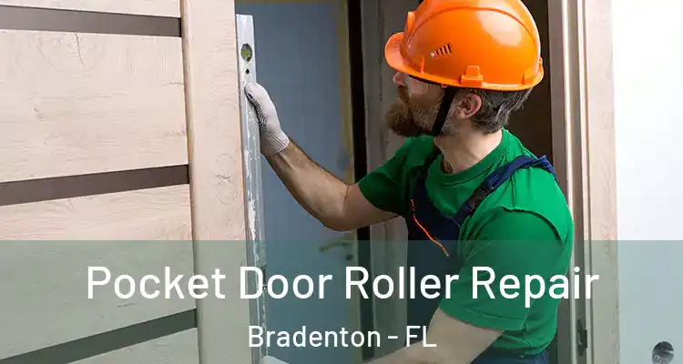 Pocket Door Roller Repair Bradenton - FL