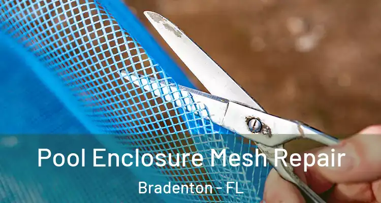 Pool Enclosure Mesh Repair Bradenton - FL