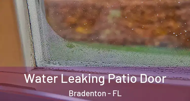 Water Leaking Patio Door Bradenton - FL