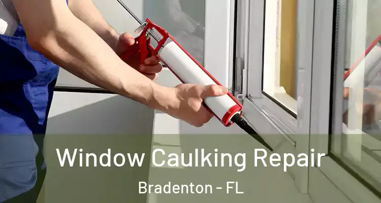 Window Caulking Repair Bradenton - FL
